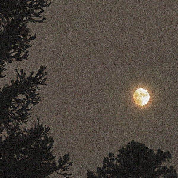 Toronto - Instrumental