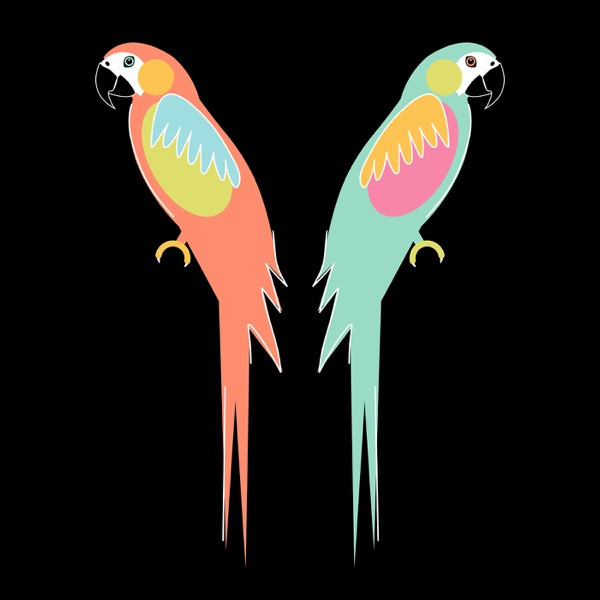 Comparison Is a Disease