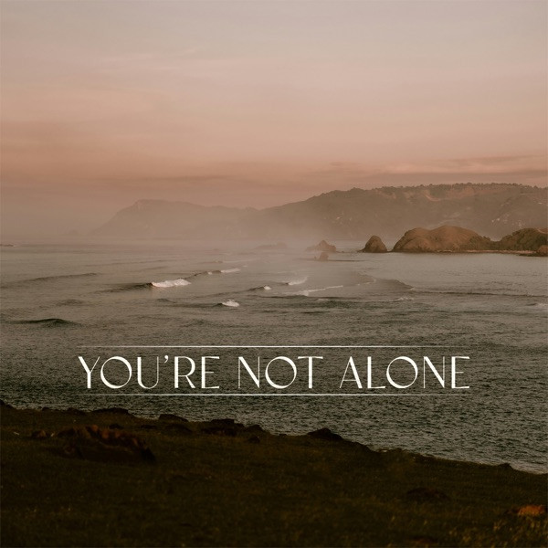 You're Not Alone - James Carter Remix