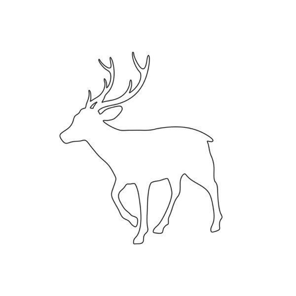 White Stag