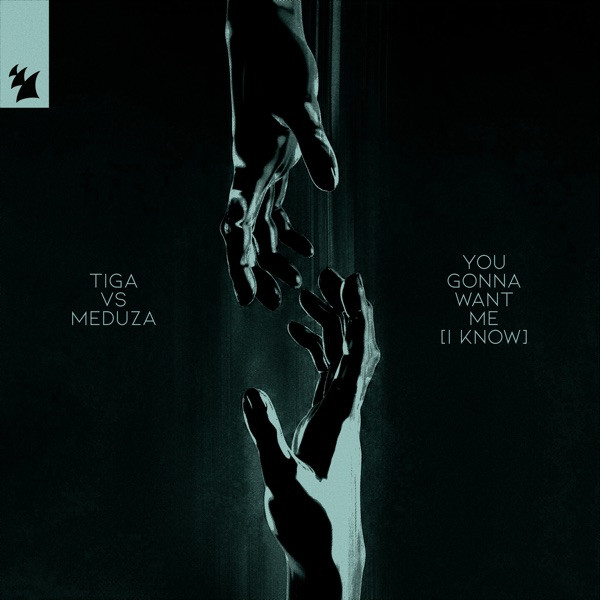06. TIGA + MEDUZA - You gonna want me
