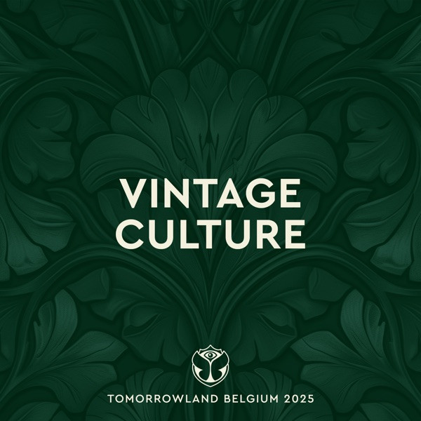 04. VINTAGE CULTURE + FRANK OCEAN - Lost