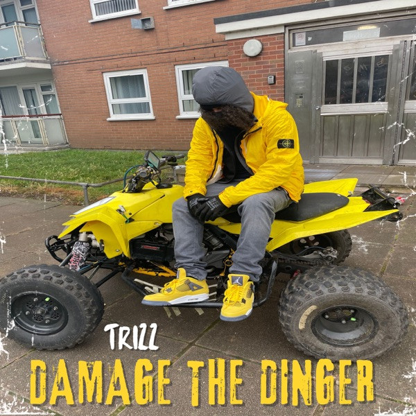 Damage The Dinger