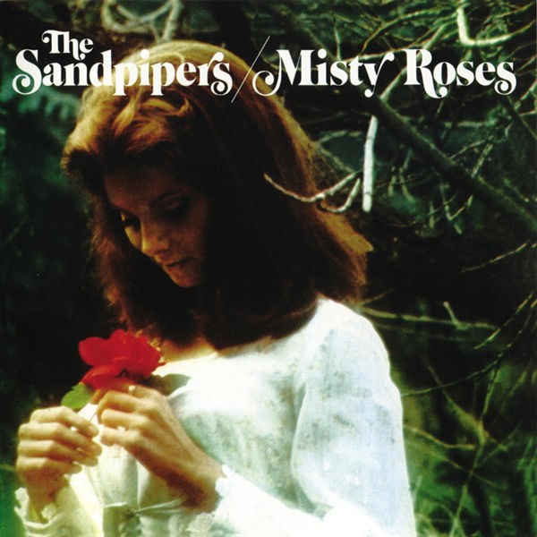 Misty Roses