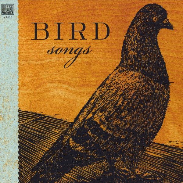 Bird Song (I'll Follow You)