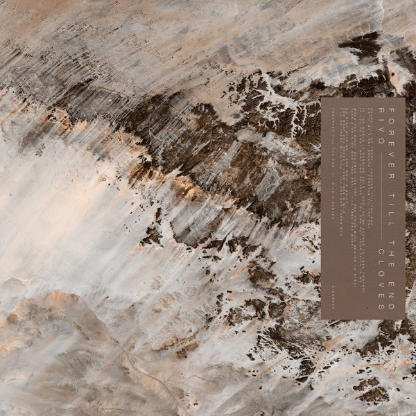 Forever Till the End (feat. CLOVES)