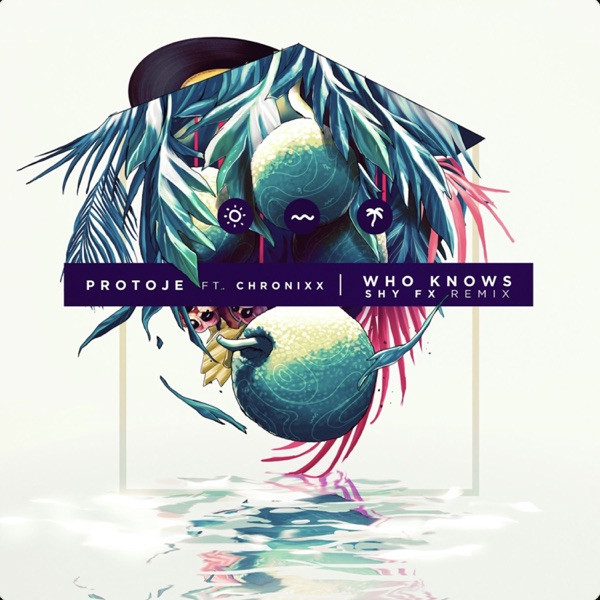 Who Knows - Shy FX Remix