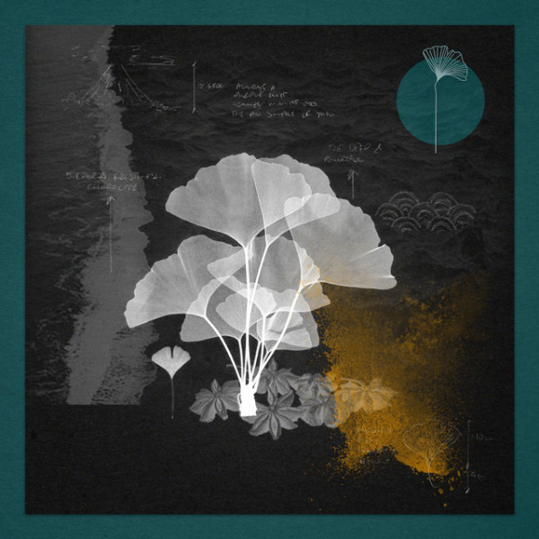 Eternal Roots - PAAX (Tulum) remix