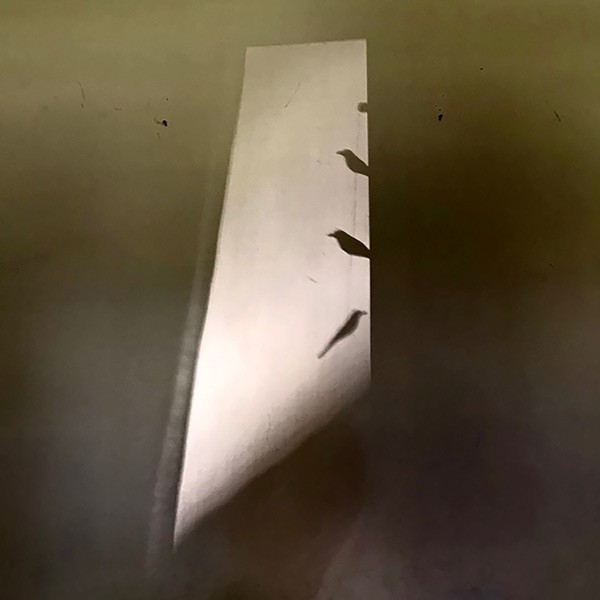 You Were in My Dream Last Night