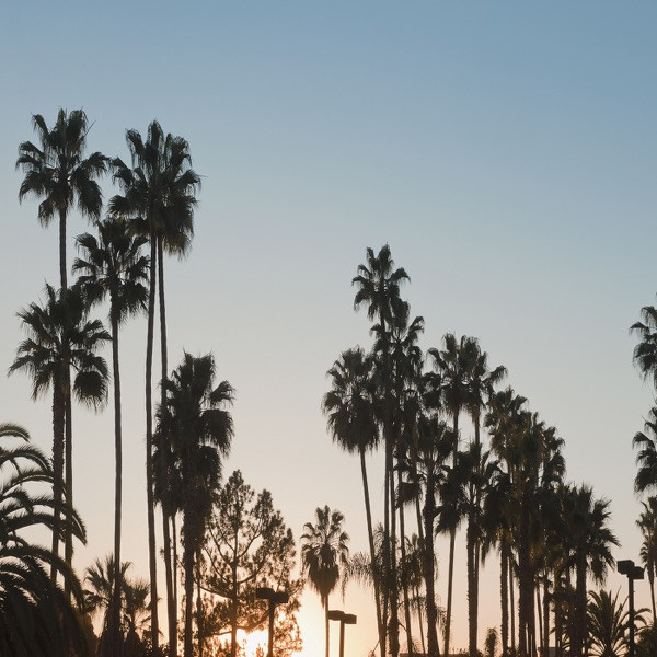 Off To New York City