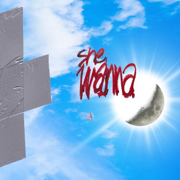 She Wanna - version