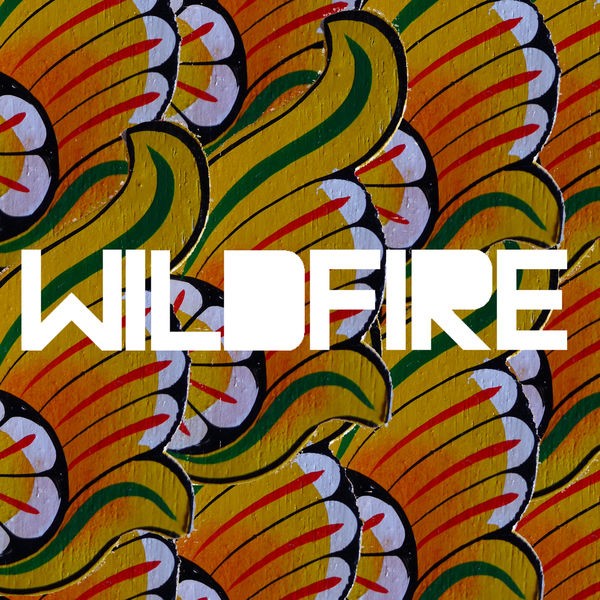 Wildfire (feat. Little Dragon)