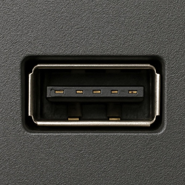 Plug Me In
