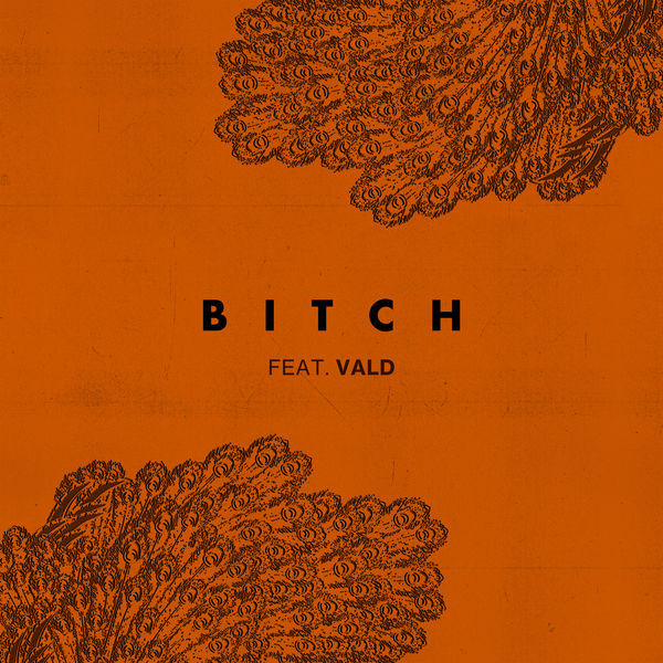 Bitch (feat. Vald)