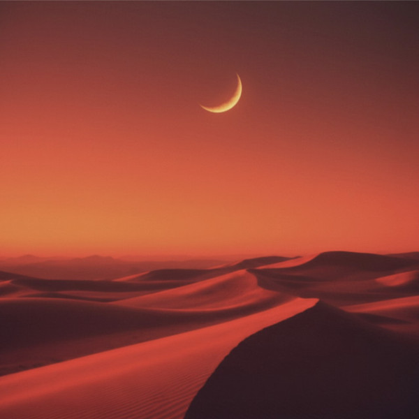 DESERT SKY
