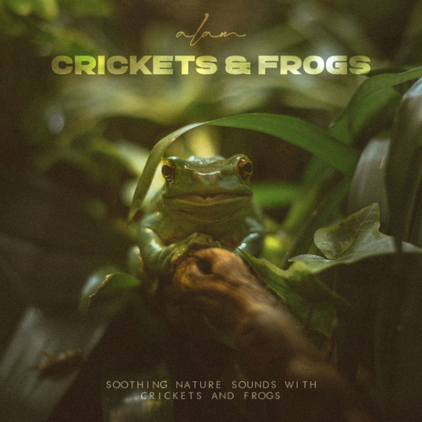 Crickets & Frogs