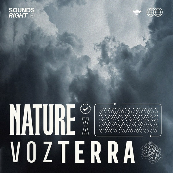 Rain Sounds in Los Llanos