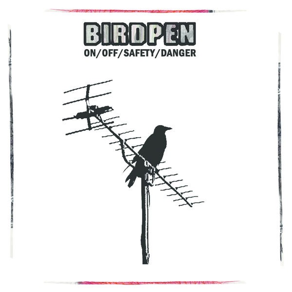 The Birds and the Antennas