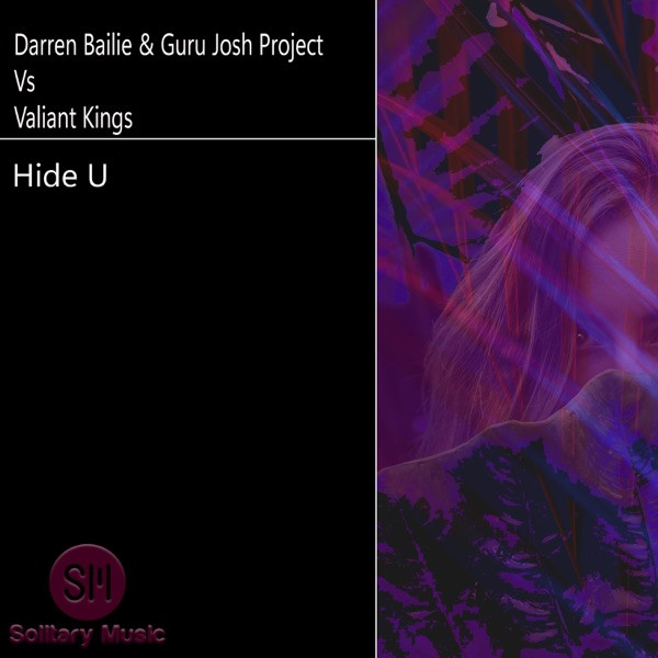 DARREN BAILIE, GURU JOSH PROJECT, VALIANT KINGS - Hide U