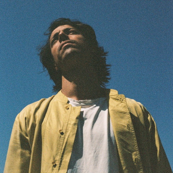 MATHIEU DES LONGCHAMPS - LE VERT ET LE BLEU