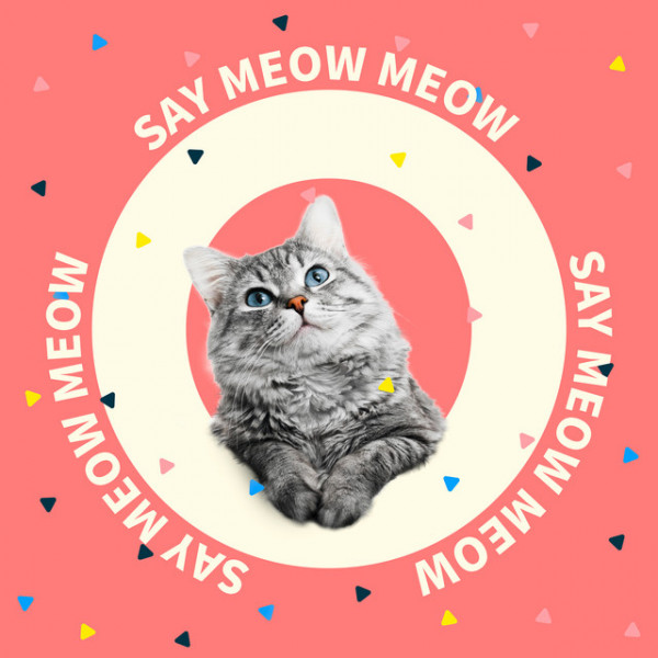 Say Meow Meow - 歌曲《學貓叫》英文版