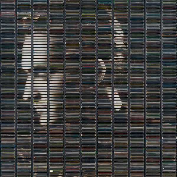 STEPHAN EICHER - Sauvage Continent