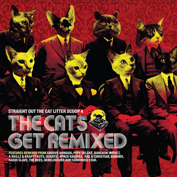 Moonlight (remix)