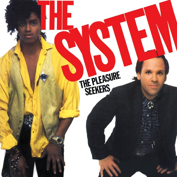 The System - This Is For You (Extended Mix)