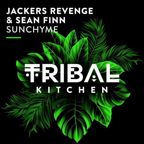 SEAN FINN + JACKERS  REVENGE - Sunchyme
